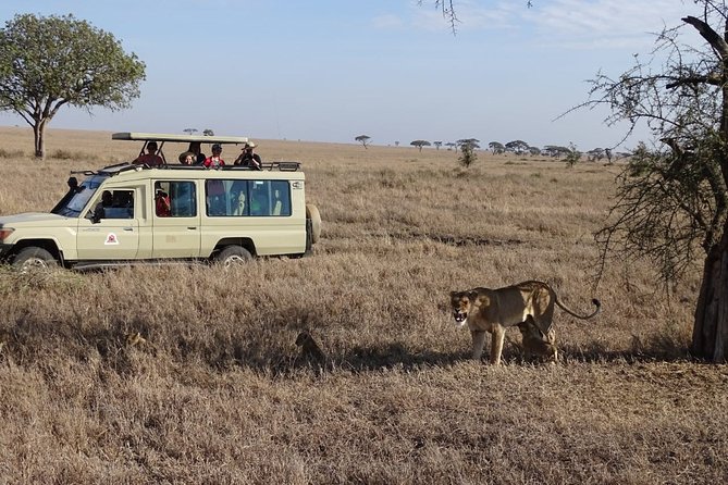 3 days group joining safari to Maasai Mara with a Land Cruiser Jeep - The full-day safari and Mara River