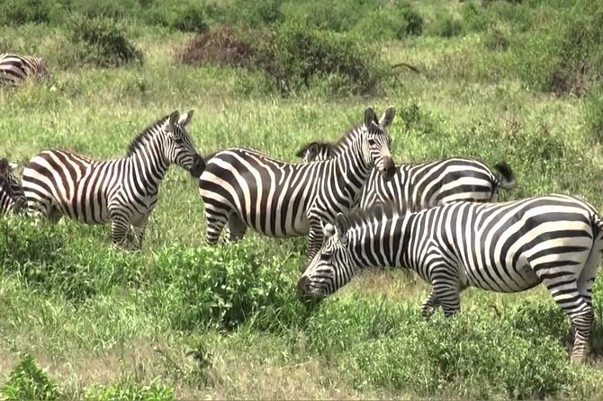 3 days group joining safari to Maasai Mara with a Land Cruiser Jeep - Leaving Nairobi and stopping at the Rift Valley viewpoint