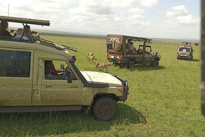 3 days group joining safari to Masai Mara with a Land CruiserJeep - A full day searching for the Big Five