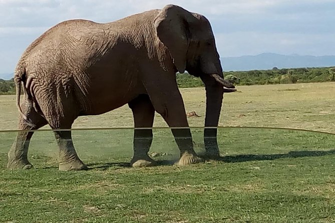 3 Days Maasai Mara Budget Group Safari - Communication and booking checks