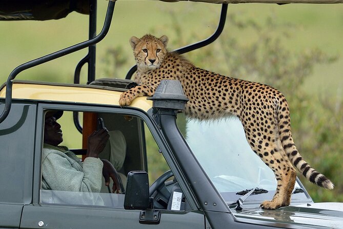 3-Days Maasai Mara Camping Safari on 4x4 Land Cruiser Jeep - Key points at a glance
