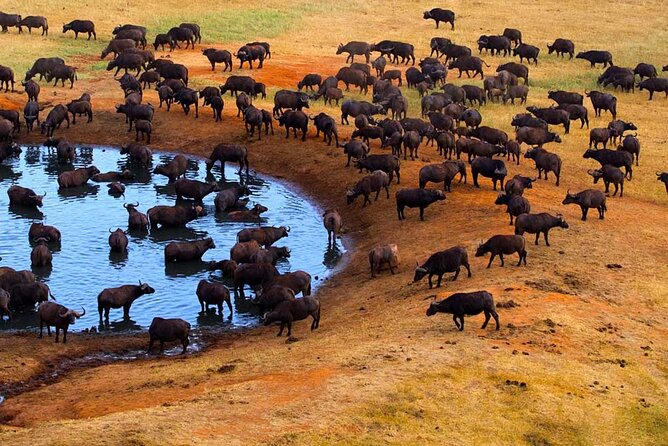 3-Days Maasai Mara Camping Safari on 4x4 Land Cruiser Jeep - Lenchada Tourist Camp and the first night
