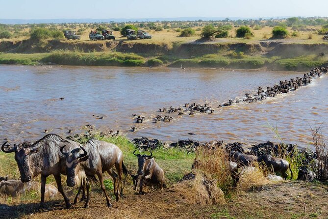 3-Days Maasai Mara Camping Safari on 4x4 Land Cruiser Jeep - Optional balloon safari at $450