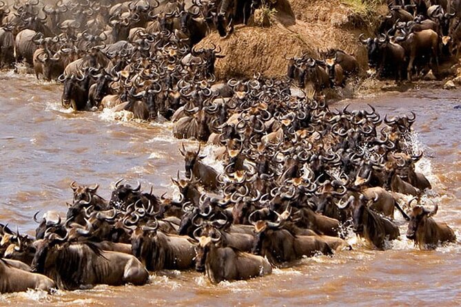 3-Days Maasai Mara Camping Safari on 4x4 Land Cruiser Jeep - The return to Nairobi on day three