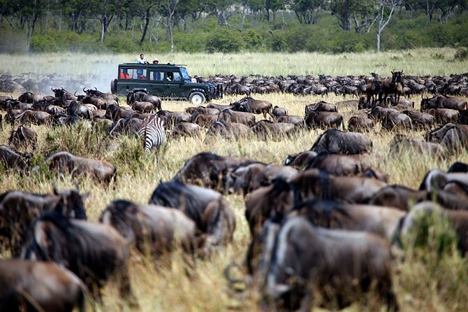 3-Days Maasai Mara Camping Safari on 4x4 Land Cruiser Jeep - Transport, comfort, and what to pack