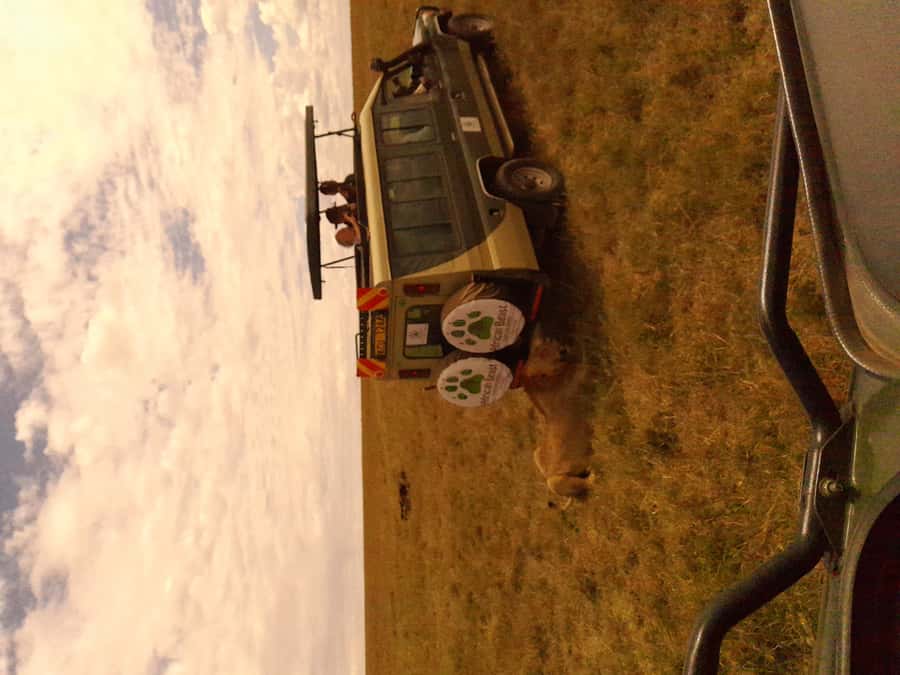 3 Days Maasai Mara Group Safari using a 4x4 Landcruiser - Key points at a glance