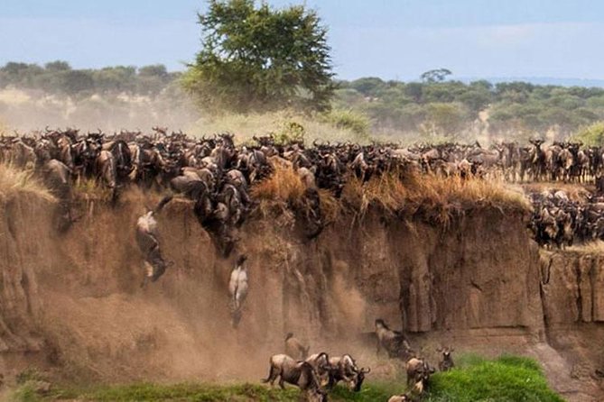 3 Days Maasai Mara Guided Safari from Nairobi - Why three days can work for the Maasai Mara