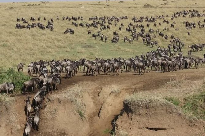 3 Days Maasai Mara Guided Safari from Nairobi - What the $196 price really means