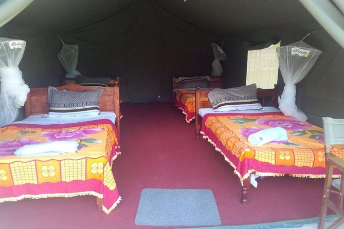 3 Days Maasai Mara Guided Safari from Nairobi - Who will get the most from this safari