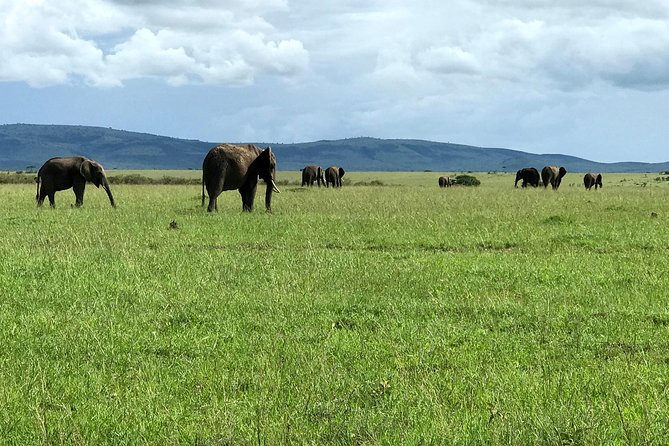 3 Days Maasai Mara Luxury Camping - The optional hot-air balloon ride
