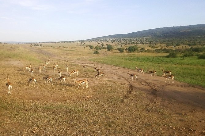 3 Days Maasai Mara Luxury Camping - Is $3,980 good value?