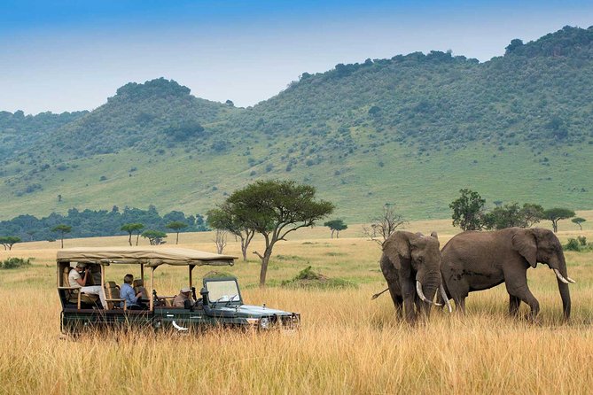 3 days Maasai Mara Luxury Safari - Day three: an early drive before Nairobi