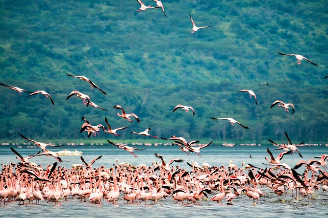 3 days maasai mara migration safari - Leaving Nairobi for the Great Rift Valley