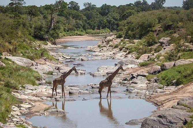 3 days Maasai Mara private Lodge safari at Keekorok from Nairobi - The Nairobi pickup and the road to the Rift Valley