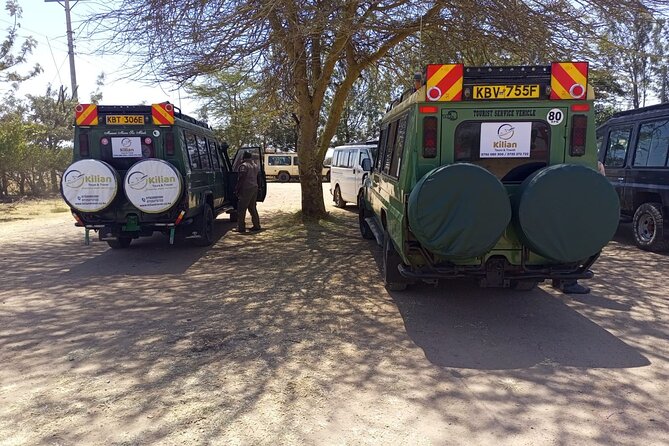 3 Days Maasai Mara Private Safari - Day 3: One last game drive before Nairobi