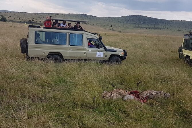 3 Days Maasai Mara Private Safari - The wildebeest crossing and the best time to go