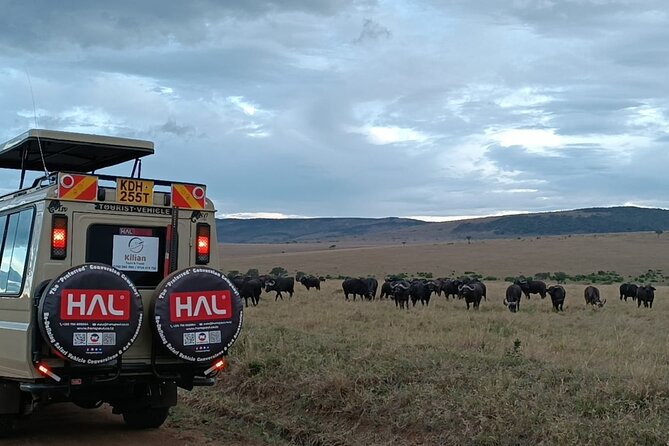 3 Days Maasai Mara Private Safari - Who will get the most from this safari
