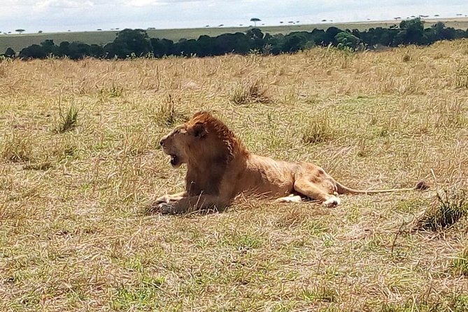 3 days Maasai Mara safari from Nairobi - A Maasai welcome before the first game drive