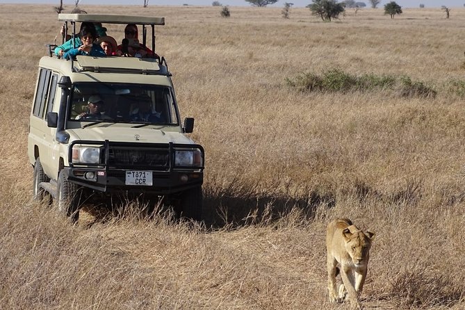 3 Days Maasai Mara Small Group Safari in a 4 x4 Land Cruiser Jeep - Key points to know before booking