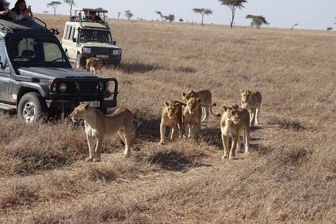 3 Days Maasai Mara Small Group Safari in a 4 x4 Land Cruiser Jeep - The full-day Maasai Mara game drive