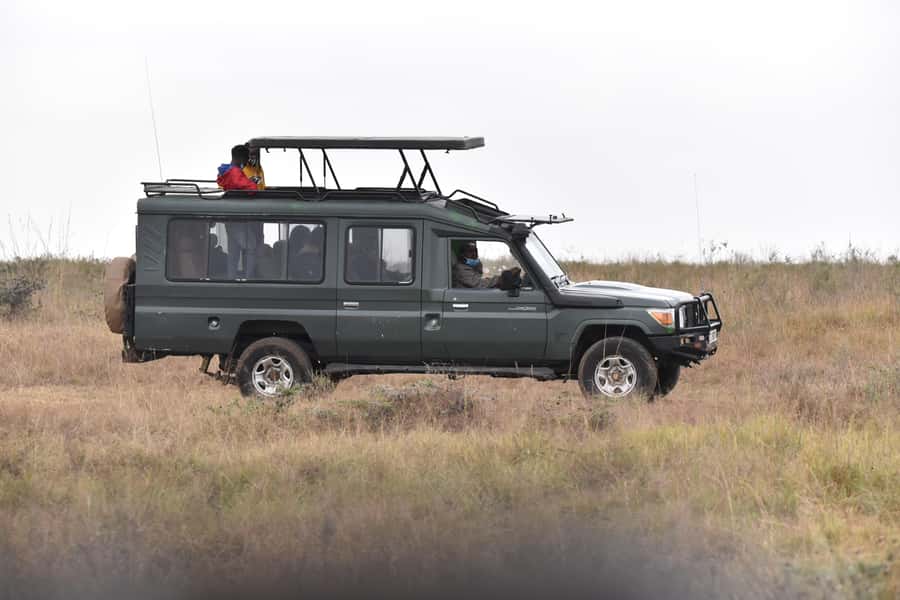 3 Days Maasai Mara Small Group Safari- Jambo Mara Lodge - Jambo Mara Lodge: comfort with a few cautions