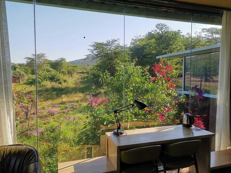 3 Days Maasai Mara Small Group Safari- Jambo Mara Lodge - Day two: the day that makes the safari worthwhile