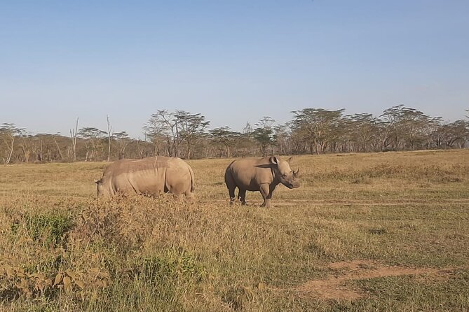 3-Days Maasai Mara unforgettable Adventure- Jeep Private Safari - Who should book this safari?