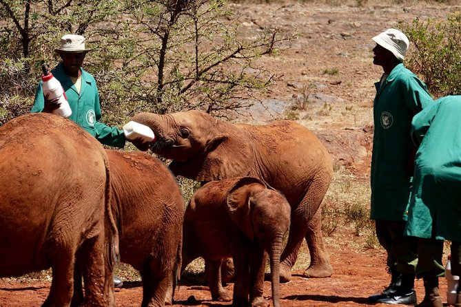 3 days Maasai Mara wildebeest migration safari - Day 1: From Nairobi through Narok to the Mara