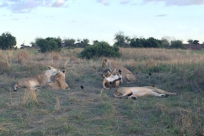 3 days Masai Mara - Is $1,600 per person good value?