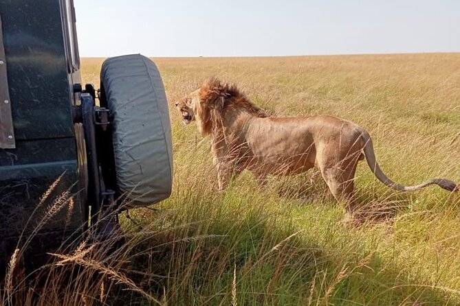 3 Days Masai Mara Budget Cruiser Shared Safari & Maasai Village - Day 1: From Nairobi’s CBD to the Great Rift Valley