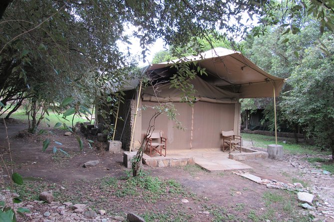3 Days Masai Mara Budget Safari - What the tented camp is really like