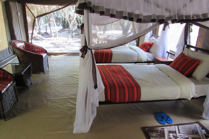 3 Days Masai Mara Budget Safari - Van or Land Cruiser: what should you choose?