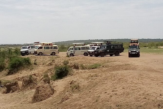 3 Days Masai Mara Budget safari Meals and accommodation included - Day three: breakfast, Maasai culture, and Nairobi