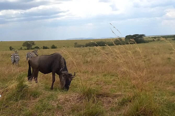 3 Days Masai Mara Experience - What the $990 group price really covers