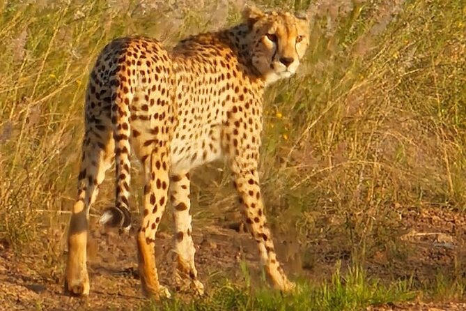 3 Days Masai Mara Experience - A full day by the Mara River