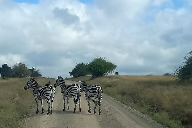 3 Days Masai Mara Experience - Maasai culture on the road back to Nairobi