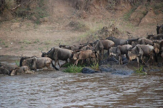 3 Days Masai Mara Group Joining Safari - Great Rift Valley views on the road west