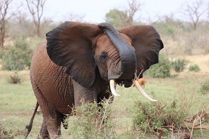 3 Days Masai Mara Joining Tour - Leaving Nairobi for the Masai Mara