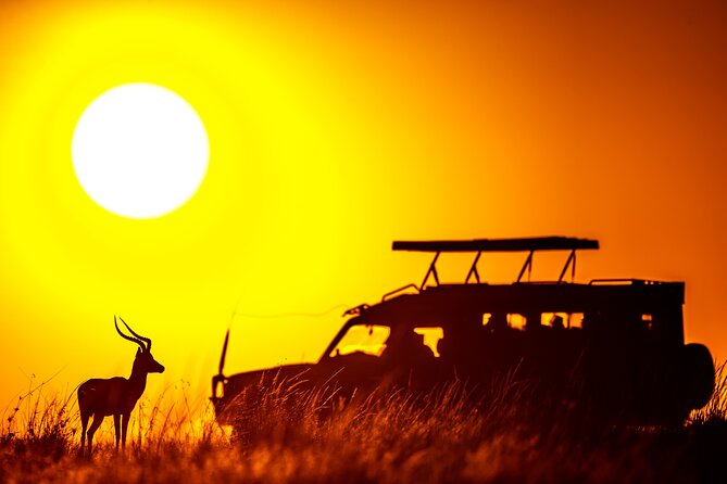 3 days Masai Mara on Private 4x4 Land Cruiser - Accommodation choices and what to confirm
