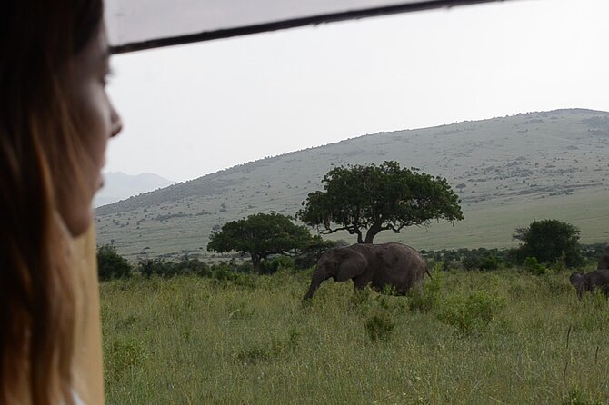 3 days Masai Mara on Private 4x4 Land Cruiser - What is included, and what costs extra