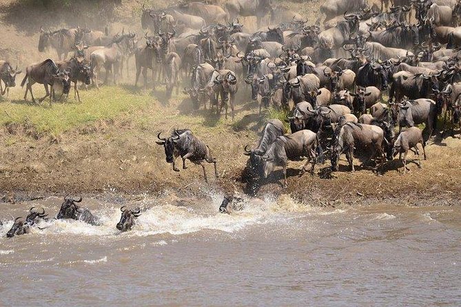 3 Days Masai Mara Private Safari at Sopa Lodge from Nairobi - Who will get the most from this safari