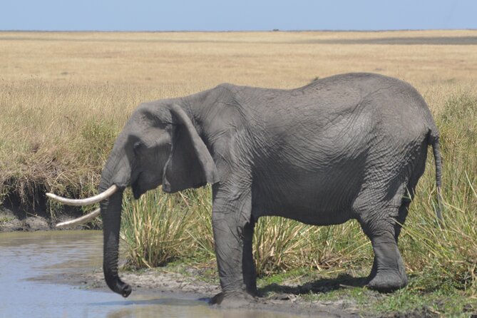 3-Days Masai Mara Rhythms Safari - From Nairobi to the Great Rift Valley