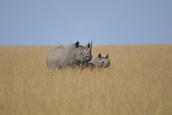 3-Days Masai Mara Rhythms Safari - Meals, lodging, and what you pay for