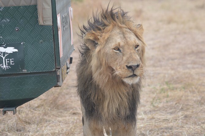 3-Days Masai Mara Rhythms Safari - The final morning and the road back