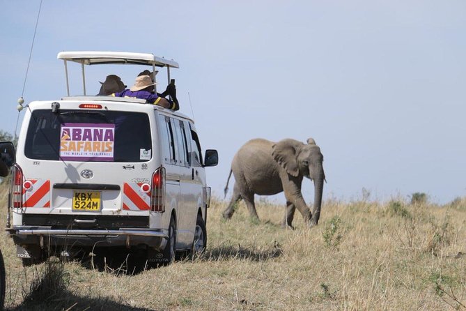 3 Days Masai Mara Safari - Day 2: A full day of game drives in Kenya’s best-known reserve