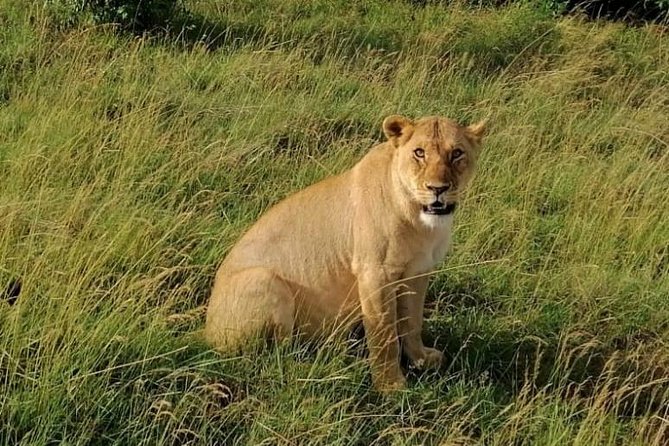 3 Days Masai Mara Safari Group Joining (Daily Departures) - Day one: Nairobi, the Great Rift Valley, and Mara Triangle