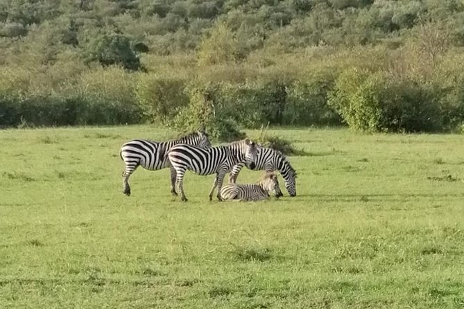 3 Days Masai Mara Safari Group Joining (Daily Departures) - Maasai village visits and what the extra fee means