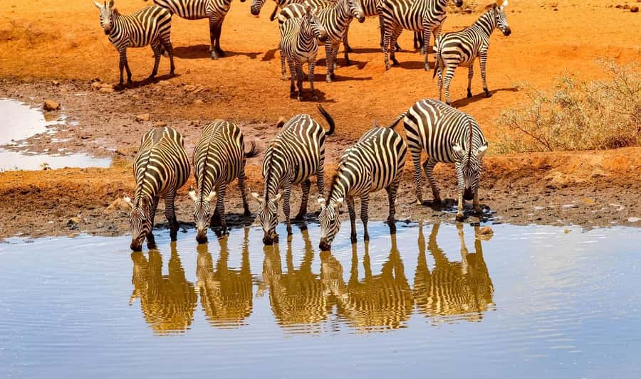 3 Days Nairobi to Amboseli to Tsavo East to Mombasa Safari - Day 1: Nairobi to Amboseli and the Kilimanjaro view