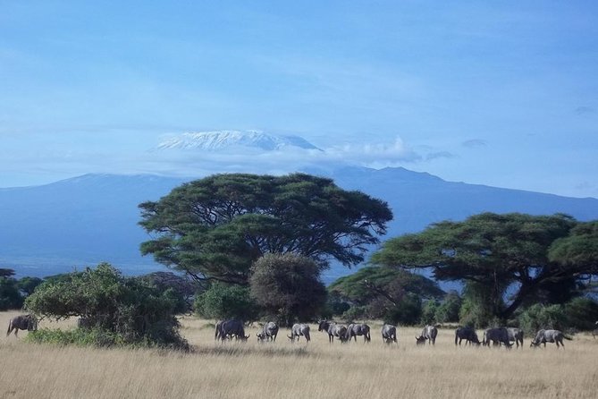 3 days Red elephant safari - Day one: from Diani Beach to Aruba Dam and Kanderi Swamp