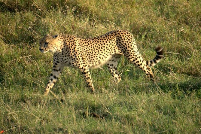 3 days Red elephant safari - What $980 per person really covers